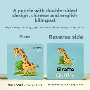 WhatsApp Image 2025-06-03 at 10.04.50 AM (1).webp