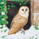 Crystal-Art-Snowy-Owl-Diamond-Painting_bc3b79cb-0c35-4cf6-ba29-e26c9eb38840.f642bf0c6b6a644b246cbe2c4ba5c443.webp