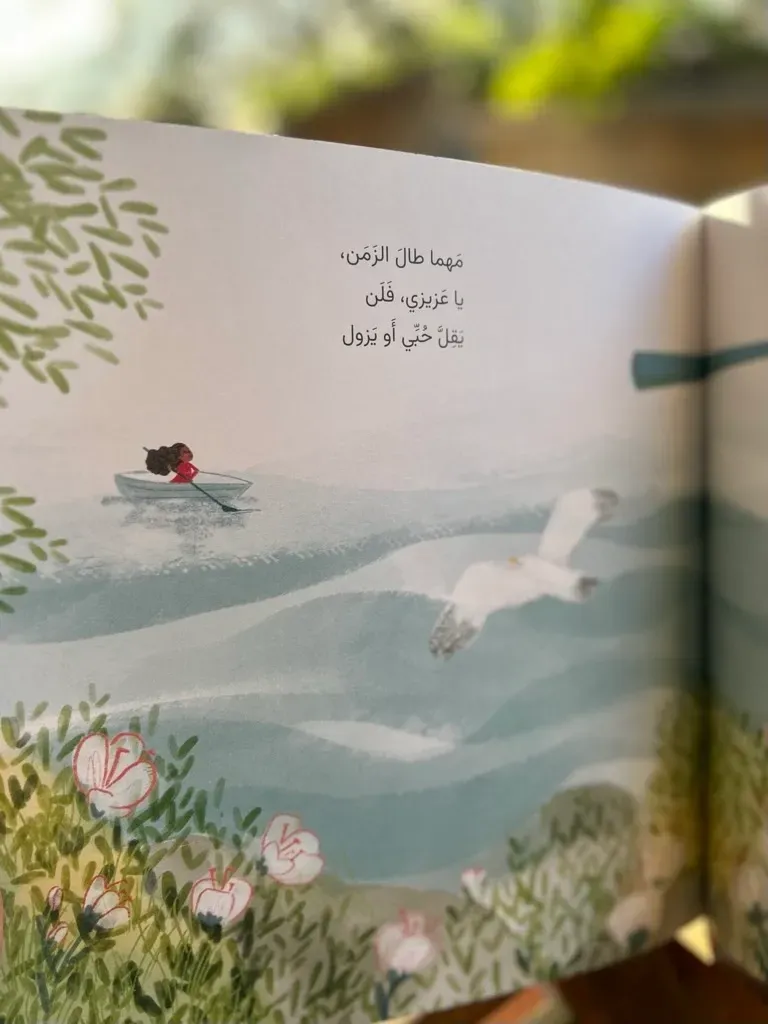 rs=w_768,cg_true,m (3).webp