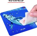 614EpNXHrTL._AC_SX679_.webp
