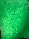 138982251_732923100679014_95473052745122356_n.webp