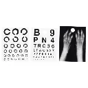 WhatsApp Image 2025-11-08 at 11.42.26 AM (2).webp