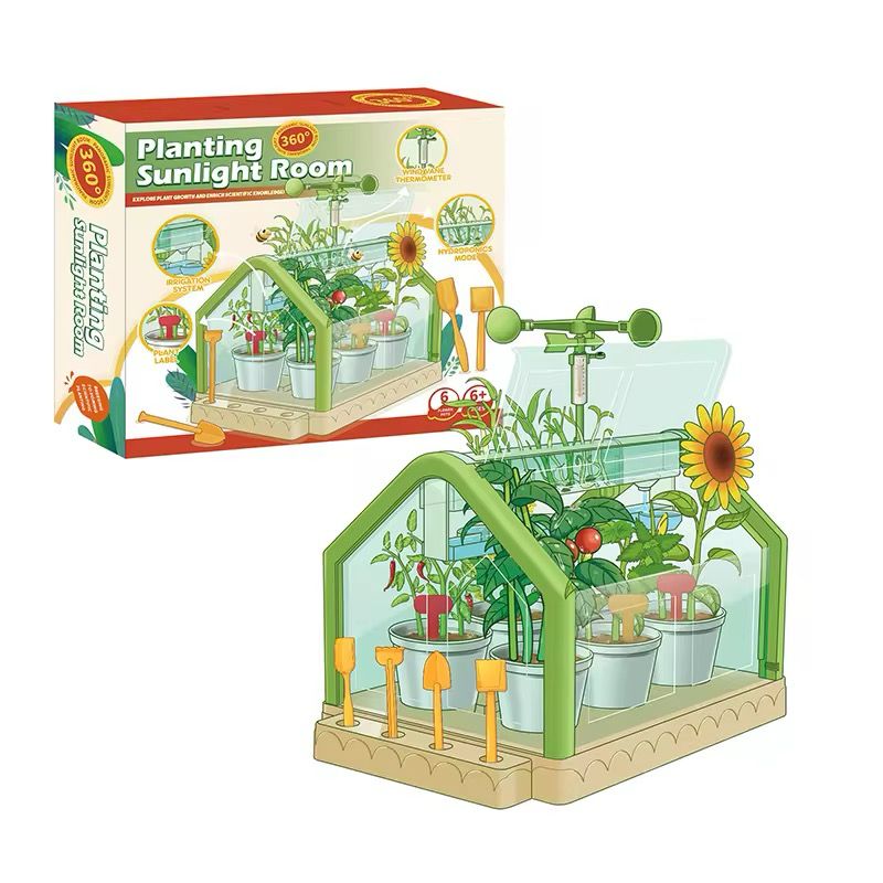 Planting sunlight room