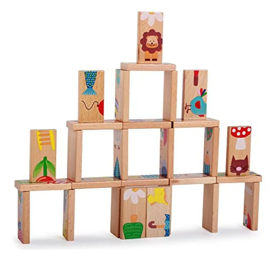 Domino combination 
