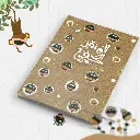 المنقذ الخفي