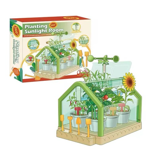 Planting sunlight room