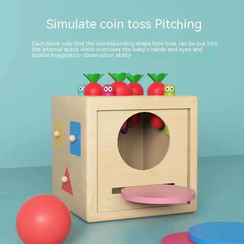 WhatsApp Image 2025-07-26 at 7.43.34 PM (2).webp