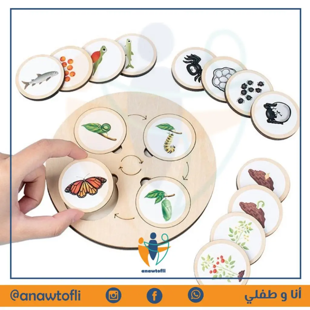 WhatsApp Image 2025-05-01 at 12.23.23 AM (1).webp