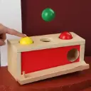 WOODEN PUSH BALLS MONTESSORI