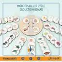 🐣🪱🦋 Montessori Life Cycle Puzzle